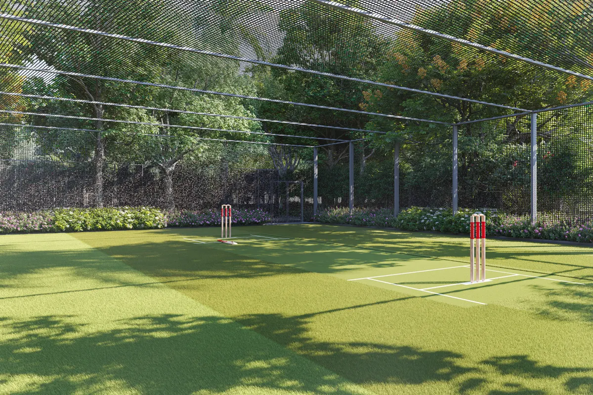 Cricket turf with floodlights